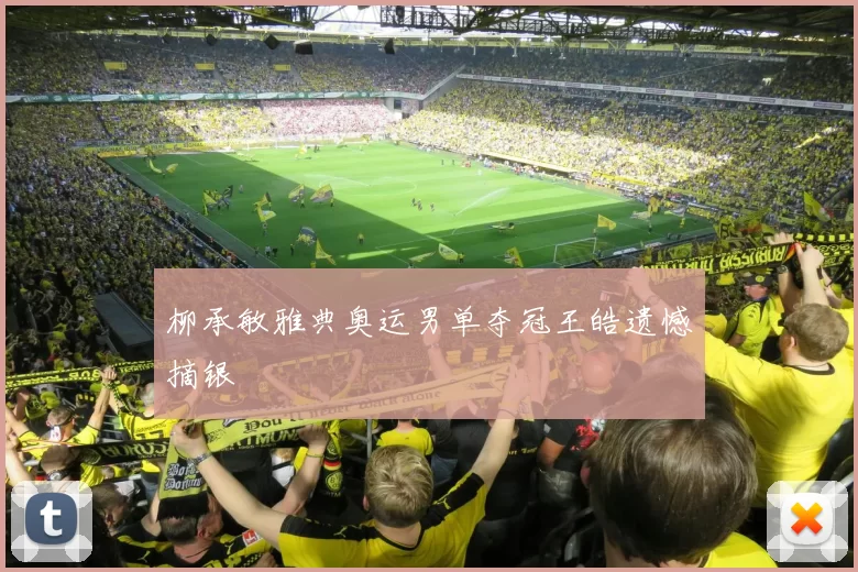 柳承敏雅典奥运男单夺冠王皓遗憾摘银