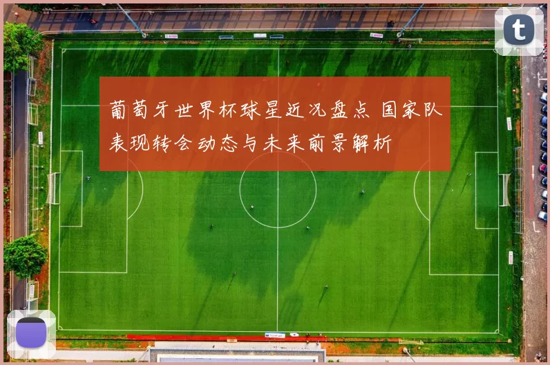 葡萄牙世界杯球星近况盘点 国家队表现转会动态与未来前景解析