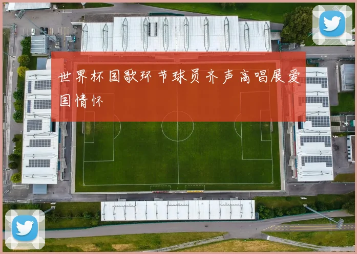 世界杯国歌环节球员齐声高唱展爱国情怀