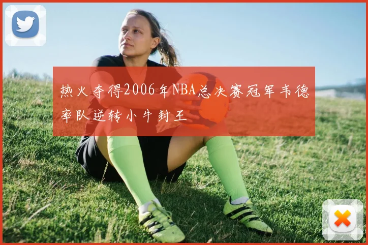 热火夺得2006年NBA总决赛冠军韦德率队逆转小牛封王
